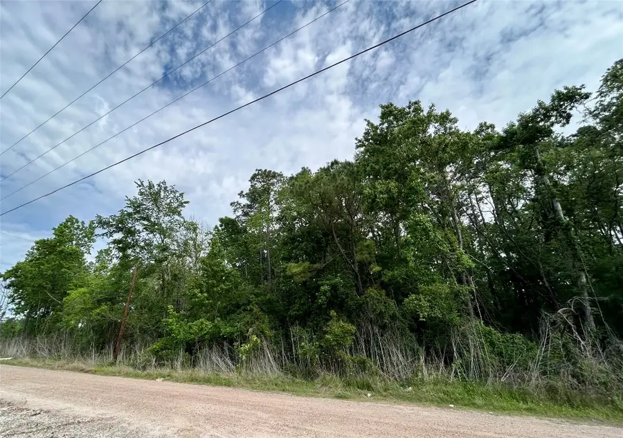 19356 Lady Bug, Porter, TX 77365 - #3