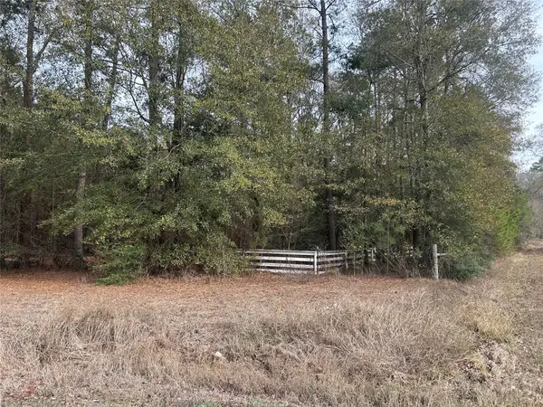 19043 Miranda Drive, Cleveland, TX 77328