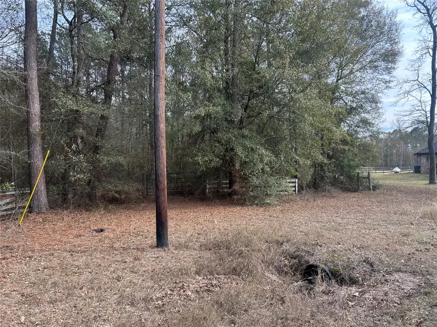 19043 Miranda Drive, Cleveland, TX 77328 - Image #2