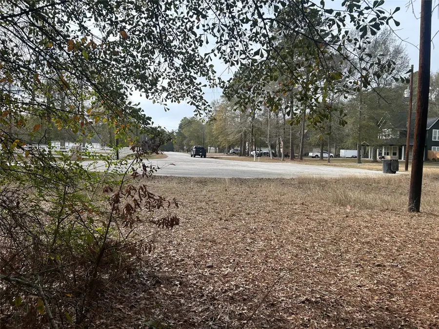 19043 Miranda Drive, Cleveland, TX 77328 - Image #3