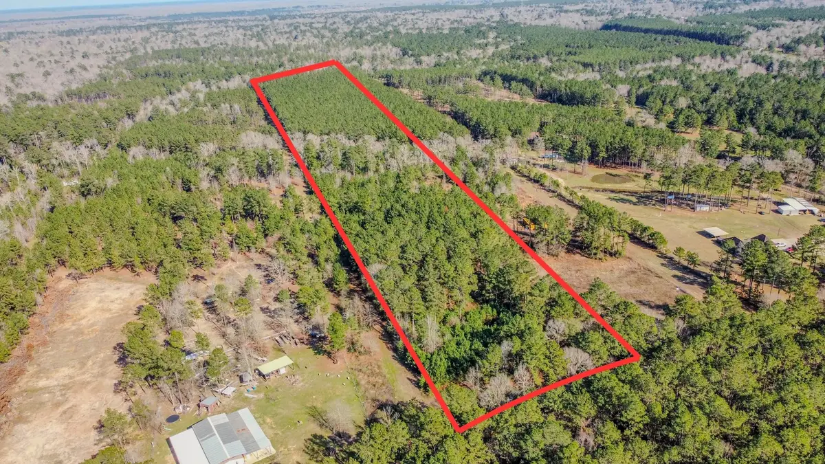 477 County Line Road, Shepherd, TX 77371 - Image #1