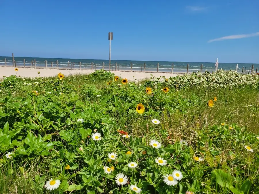 Lot 14 Bermuda Beach, Galveston, TX 77554 - #2