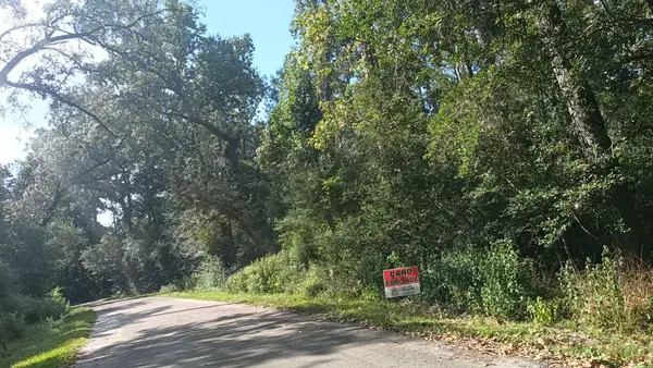 TBD Cimmaron Drive, Stagecoach, TX 77355