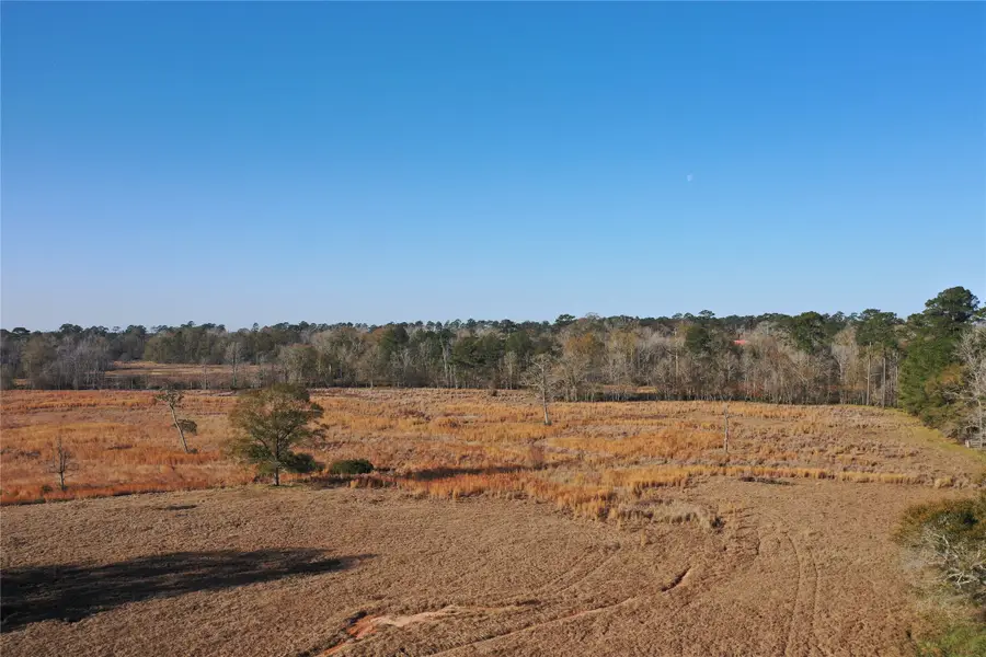 TBD Lakeland, Hillister, TX 77624 - Image #3