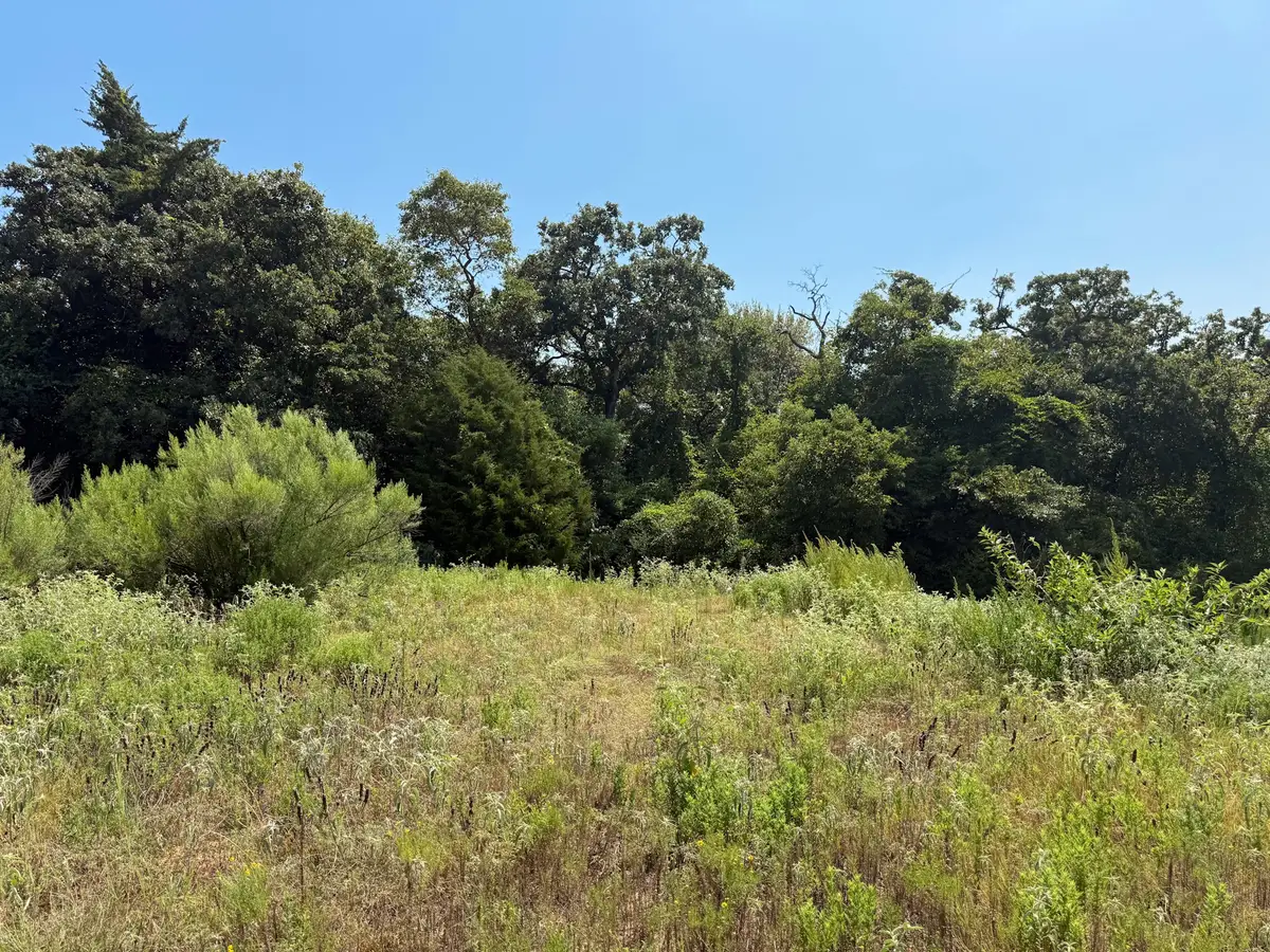 6880 Pr 3550, Marquez, TX 77865 - #1