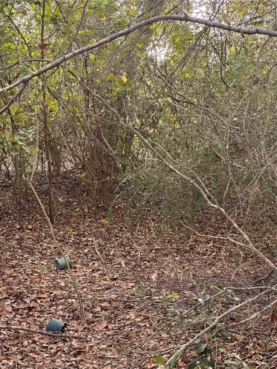 8711 N Garden Drive, Beaumont, TX 77705 - Image #3