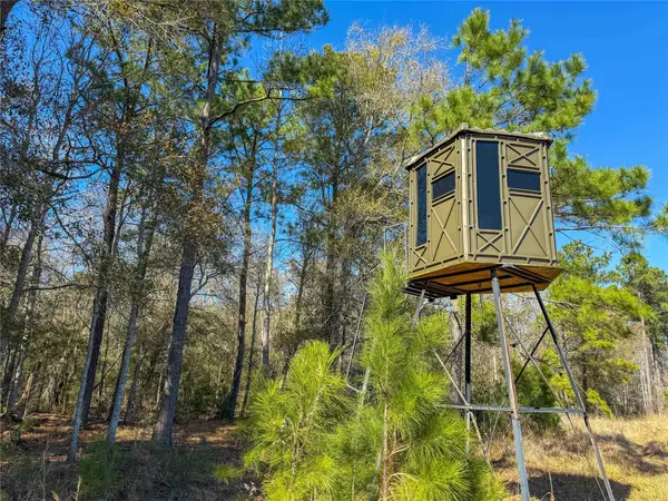 0000 Hwy 61, Devers, TX 77538