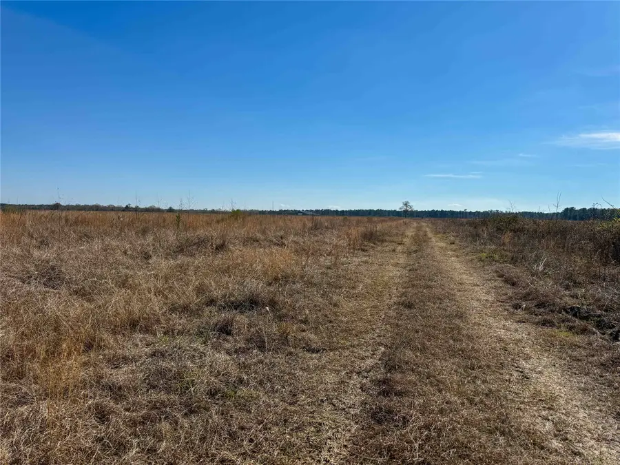 0000 Hwy 61, Devers, TX 77538 - #3