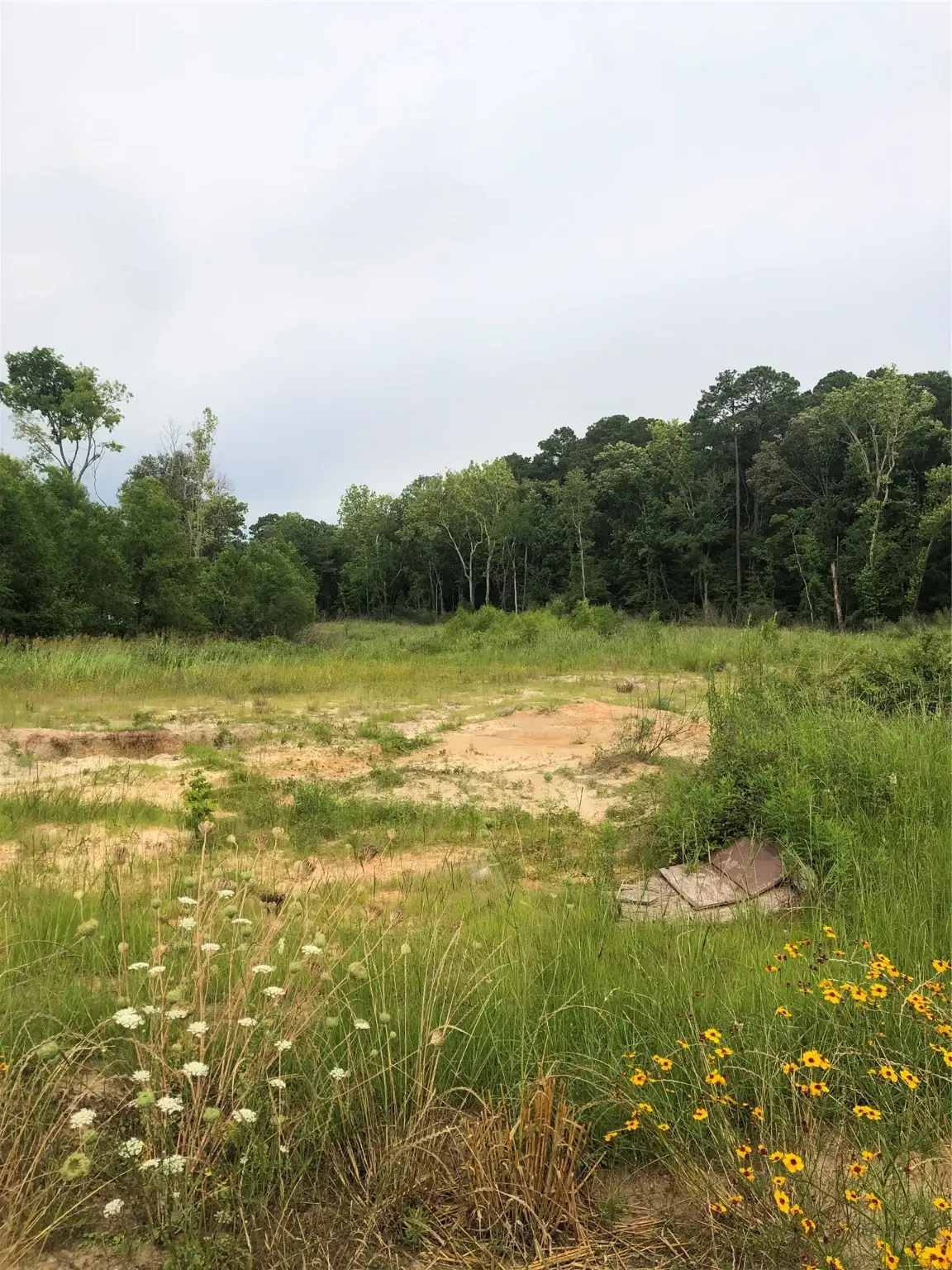 TBD Pan American Drive, Livingston, TX 77351 - Image #1