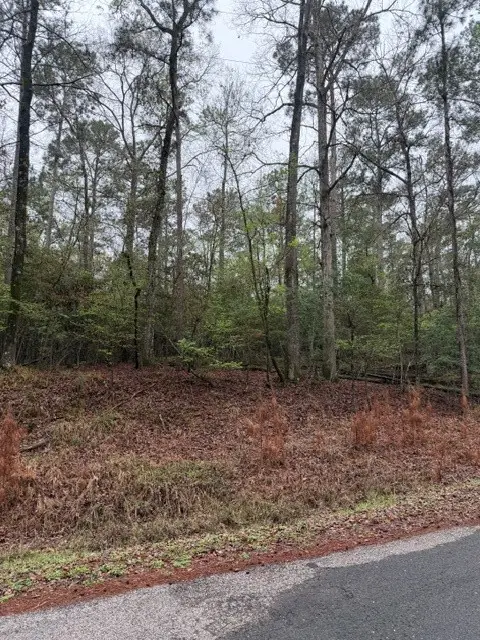 Lot 39, 40 & 41 S Lakeview Drive, Point Blank, TX 77364 - #2