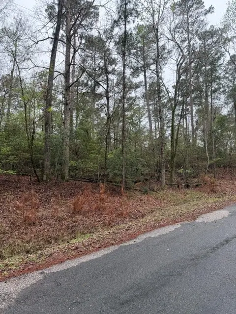 Lot 39, 40 & 41 S Lakeview Drive, Point Blank, TX 77364 - #3