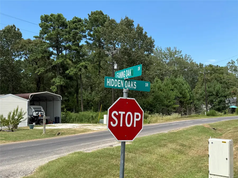 10 Leaning Oak Drive, Point Blank, TX 77364 - #2