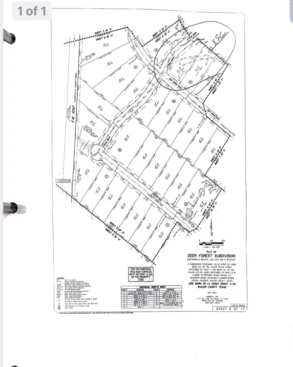 206 Iron Horse Road, Willis, TX 77378