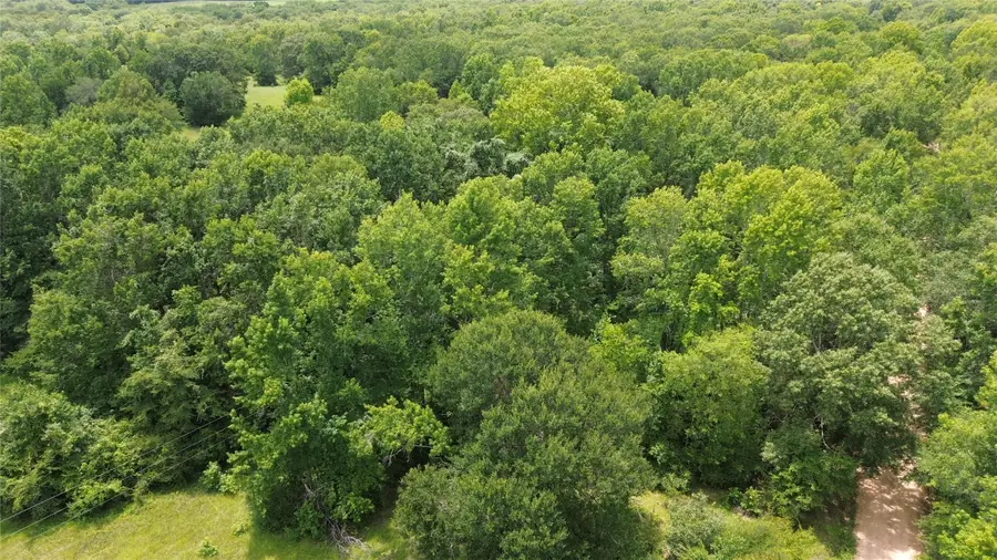 Tract 1 County Road 2065, Crockett, TX 75835 - Image #3