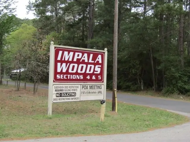 Lot 24 Gnu Street, Onalaska, TX 77360 - Image #1