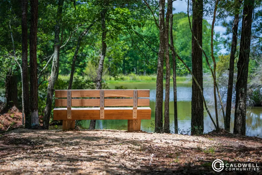 14019 Hawk Vista Court, Willis, TX 77318 - #3