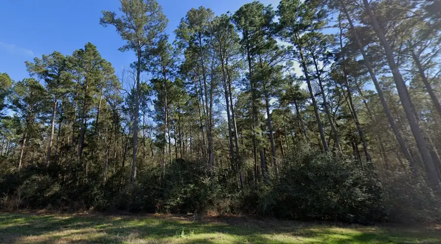 5-25-19 Feldspar Lane, Huntsville, TX 77340 - #3