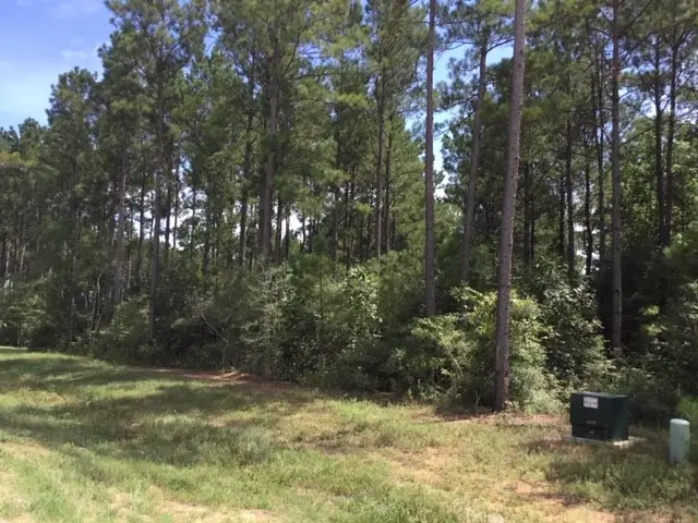10825 Zulu Court, Willis, TX 77378 - #1