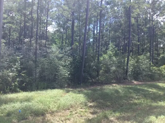 10825 Zulu Court, Willis, TX 77378 - #3