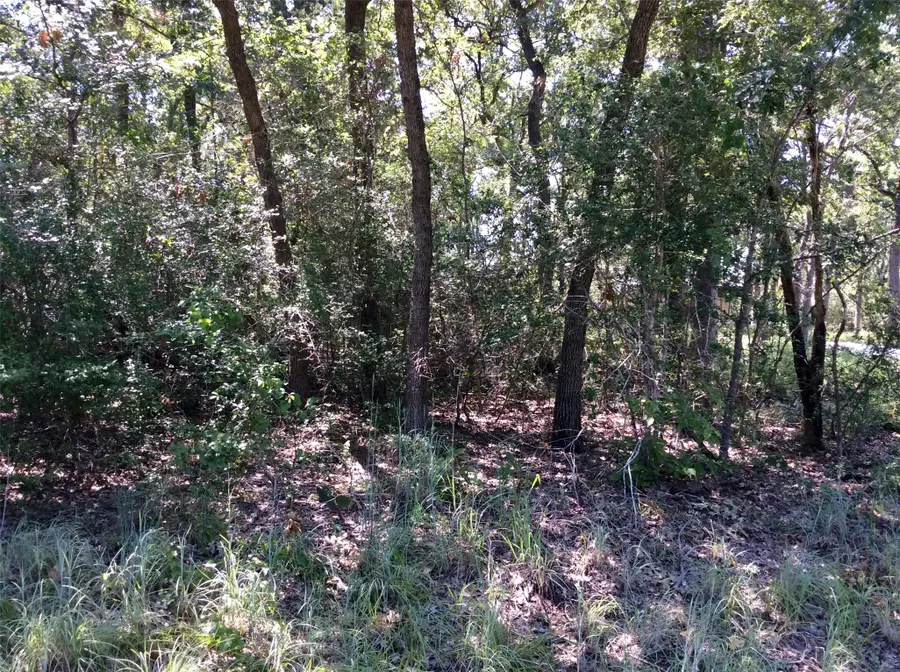 TBD Wolf Run, Somerville, TX 77879 - Image #2