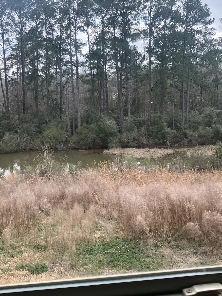 10669 N Lake Road, Montgomery, TX 77316 - #3