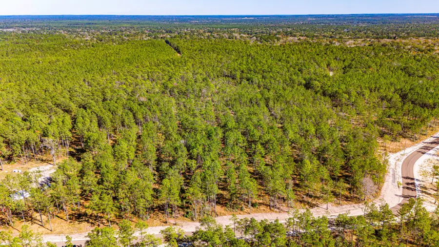 0312 King Ranch Road S, Onalaska, TX 77360 - Image #2