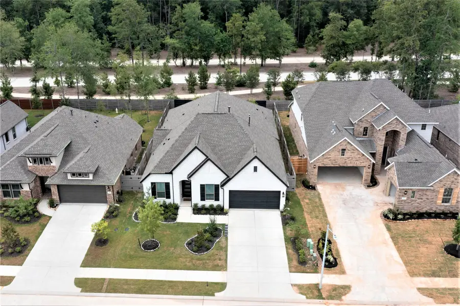 17413 Chestnut Cove Drive, Conroe, TX 77302 - #2