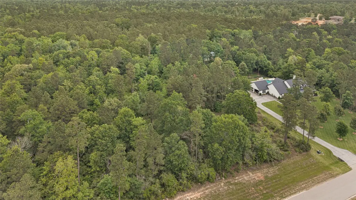 10681 Ruger Road, Willis, TX 77378 - #1