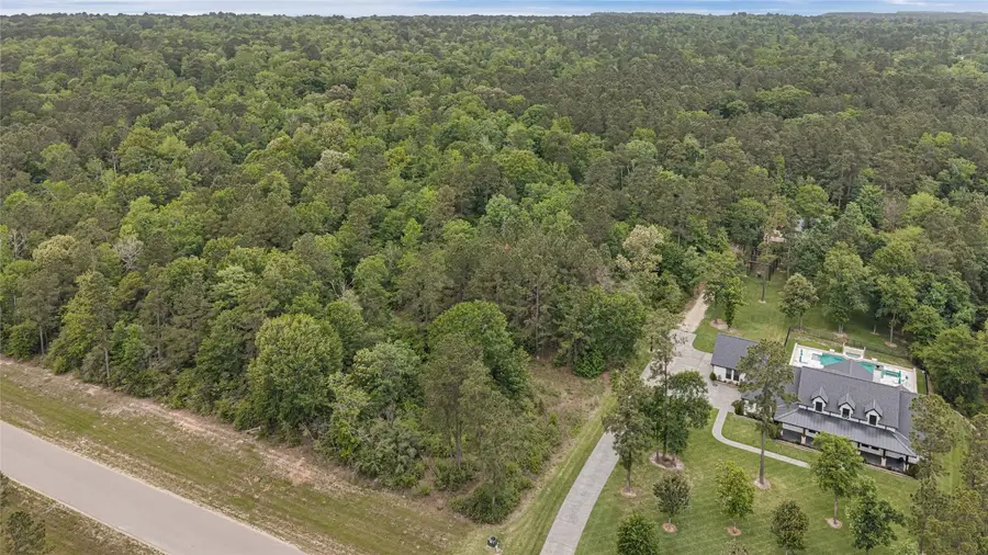 10681 Ruger Road, Willis, TX 77378 - #2