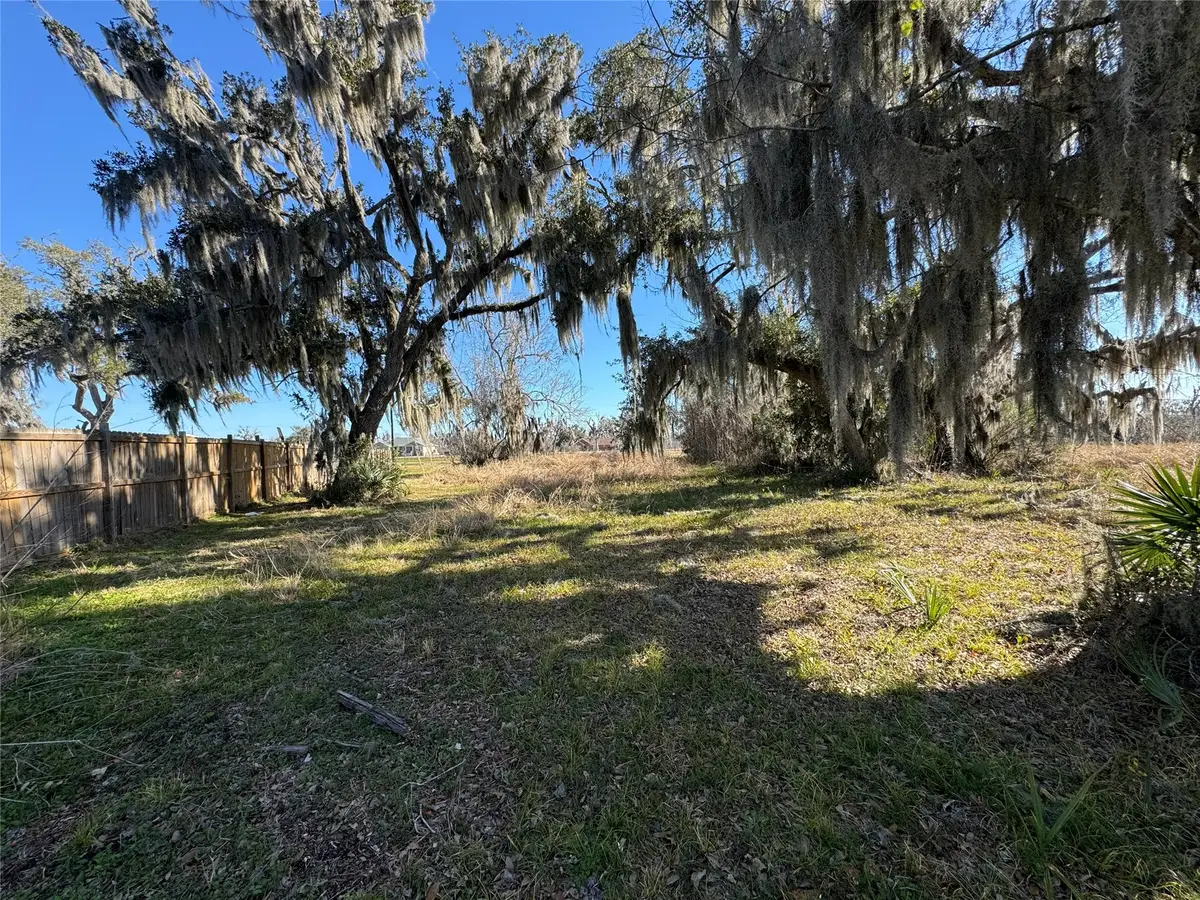 20318 County Road 461, Brazoria, TX 77422 - Image #1