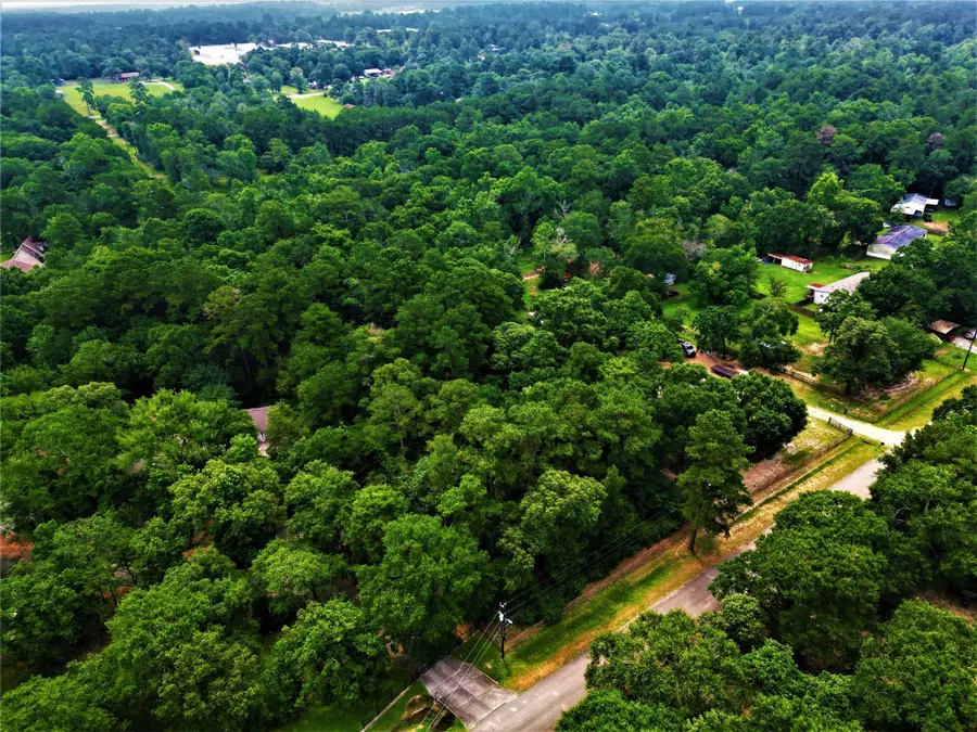 7349 Washington Avenue, Montgomery, TX 77316 - #3