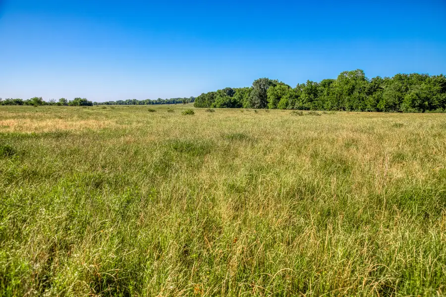 00000 Flat Prairie Road, Washington, TX 77880 - #3