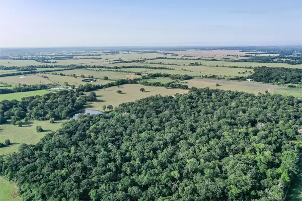 60 Acres Fm 2967, Crockett, TX 75835