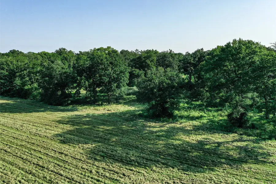 60 Acres Fm 2967, Crockett, TX 75835 - Image #2