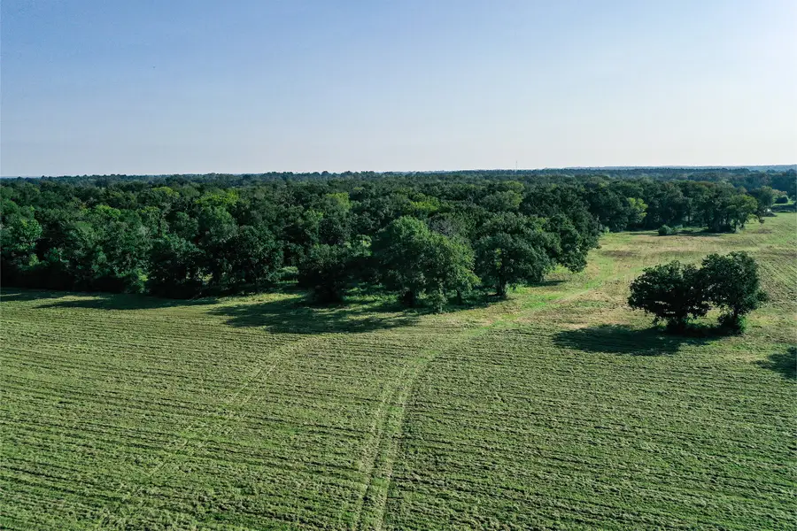 60 Acres Fm 2967, Crockett, TX 75835 - Image #3