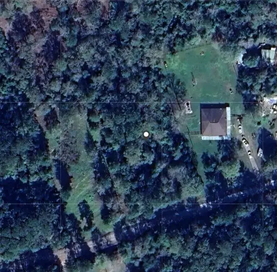 0 Durwood Drive, Ivanhoe, TX 75979 - Image #2