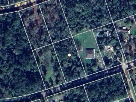 0 Durwood Drive, Ivanhoe, TX 75979 - Image #3