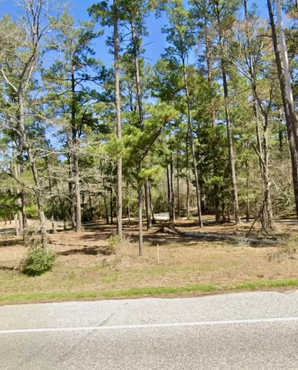 0 Grissom Road, Richards, TX 77873