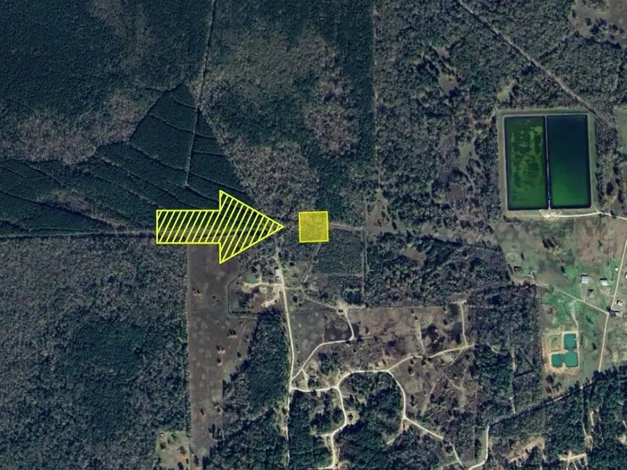 1430 Island Drive, Sour Lake, TX 77373 - #3