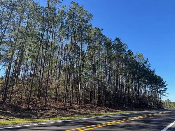 TBD Fm 1745 N, Colmesneil, TX 75938