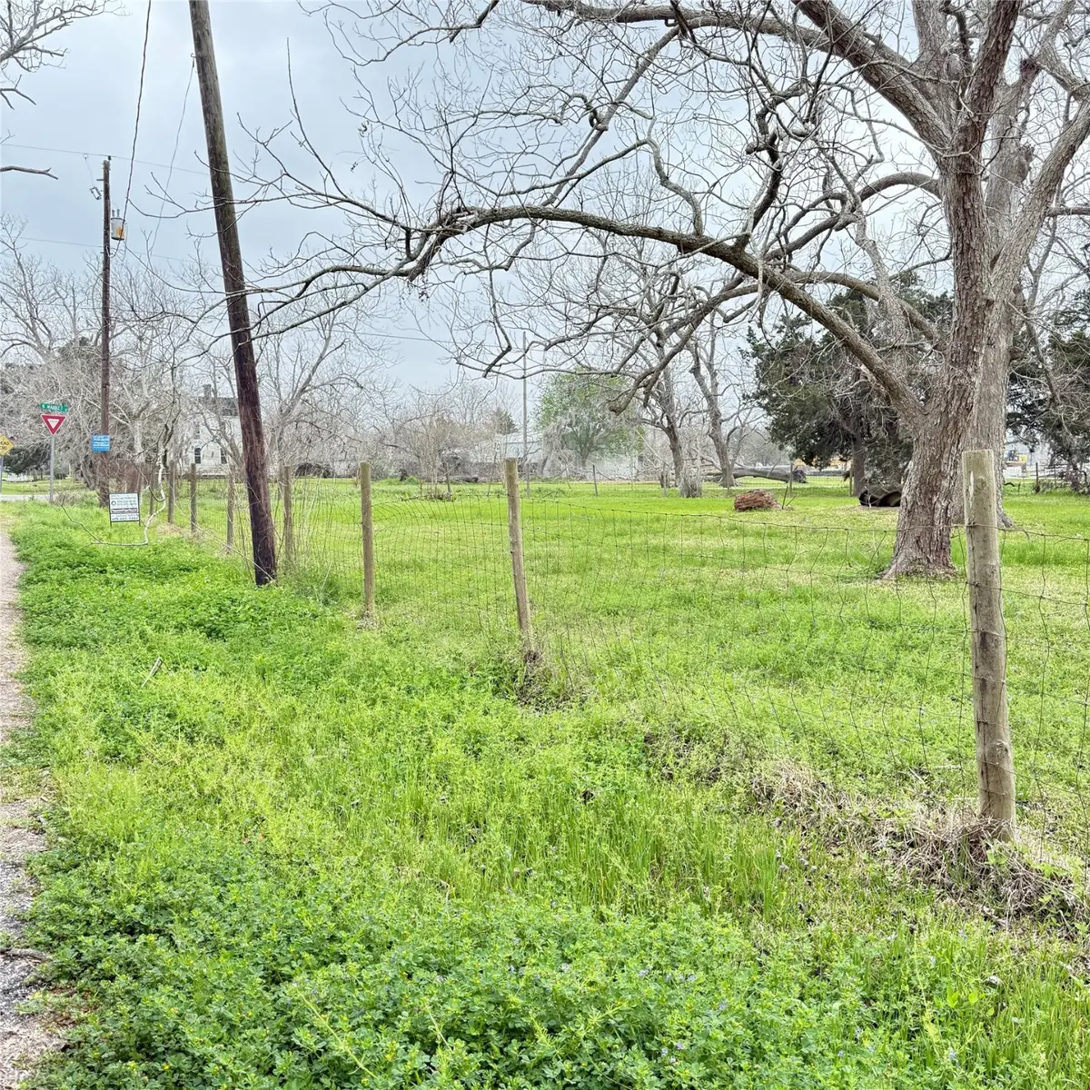 0 W Pearl Street, Brazoria, TX 77422 - Image #1