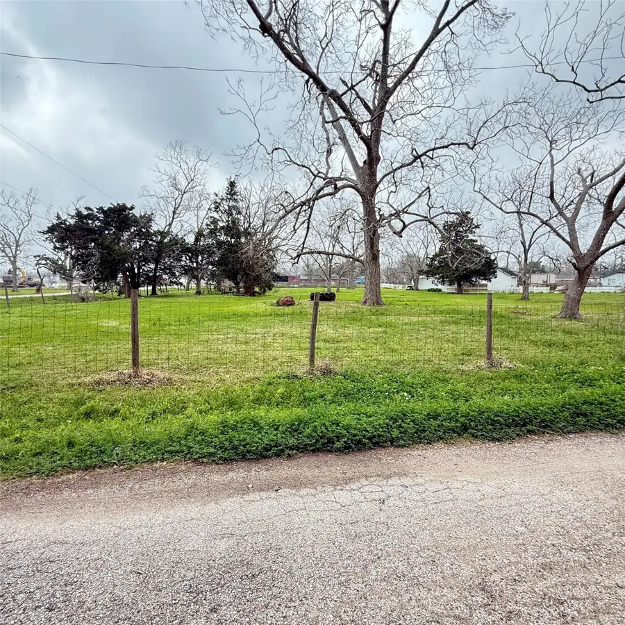 0 W Pearl Street, Brazoria, TX 77422 - Image #2