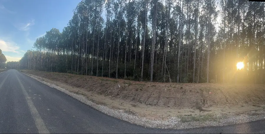 4265 Road 66126, Dayton, TX 77535 - Image #2