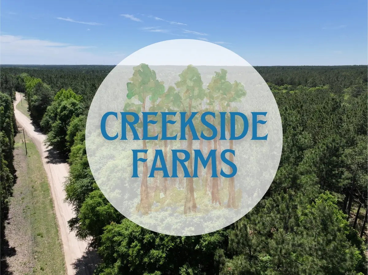 0000000 Morris Lane, Livingston, TX 77351 - #1