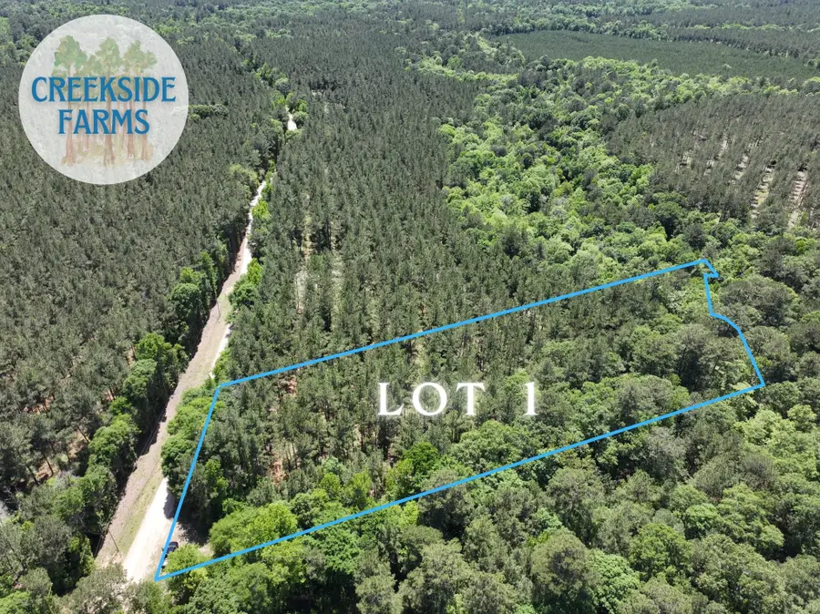 0000000 Morris Lane, Livingston, TX 77351 - #2