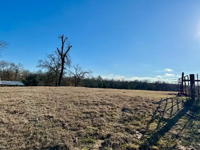 9036 County Road 329, Buffalo, TX 75831 - Image #3