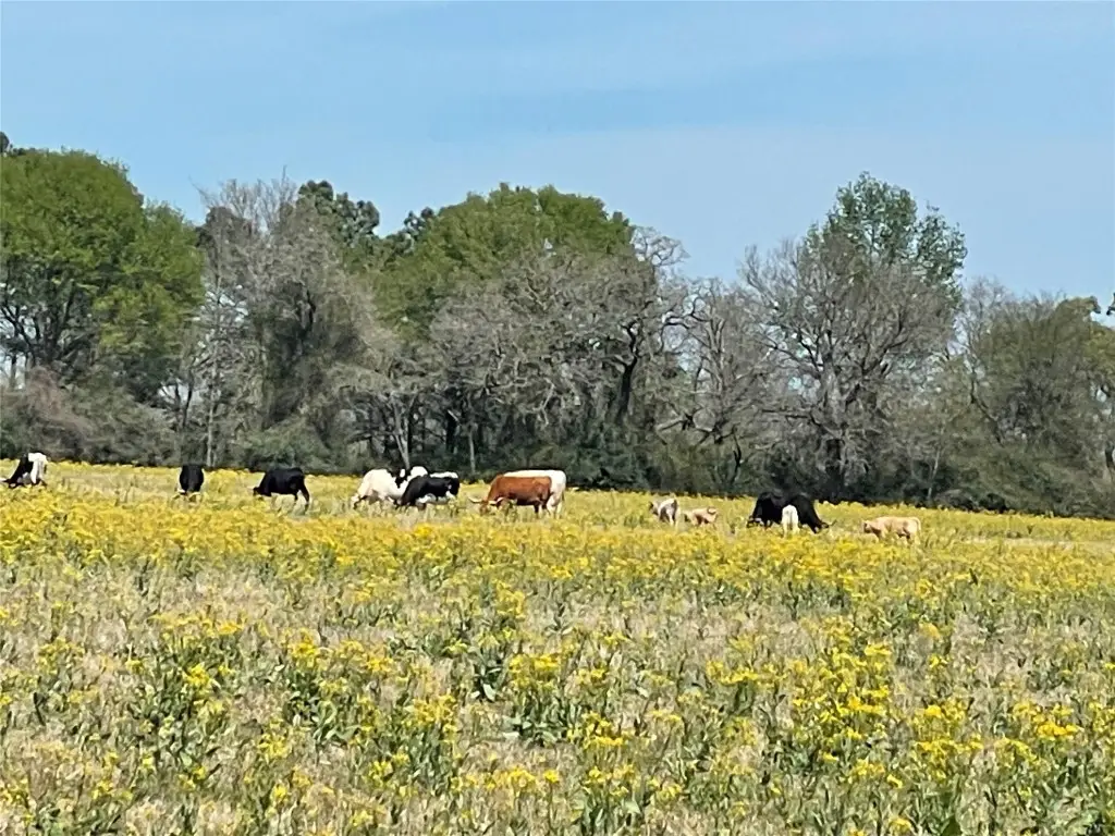 9877 County Road 112, Centerville, TX 75833 - #1