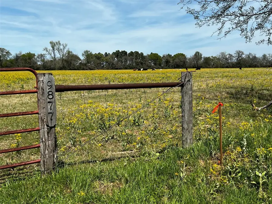 9877 County Road 112, Centerville, TX 75833 - #2