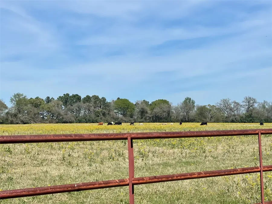 9877 County Road 112, Centerville, TX 75833 - #3