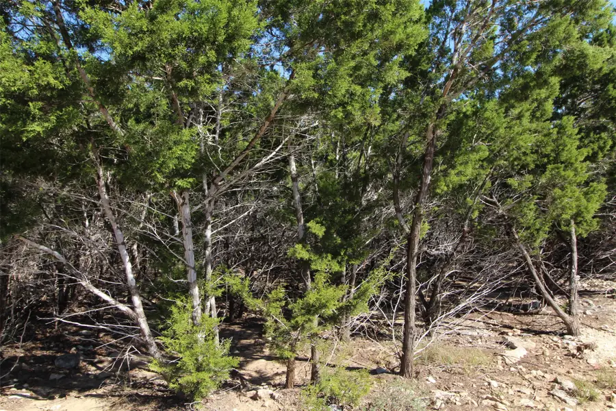 357 Big Bend Drive, Canyon Lake, TX 78133 - #2